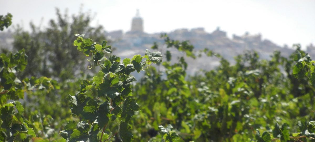 Panorámica de Bullas